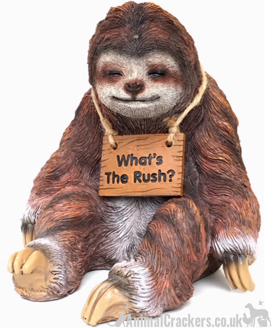 whatsyoursign sloth