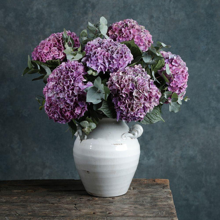 Example of gift subscription flowers, antique purple hydrangeas in a white  glazed ceramic vase.