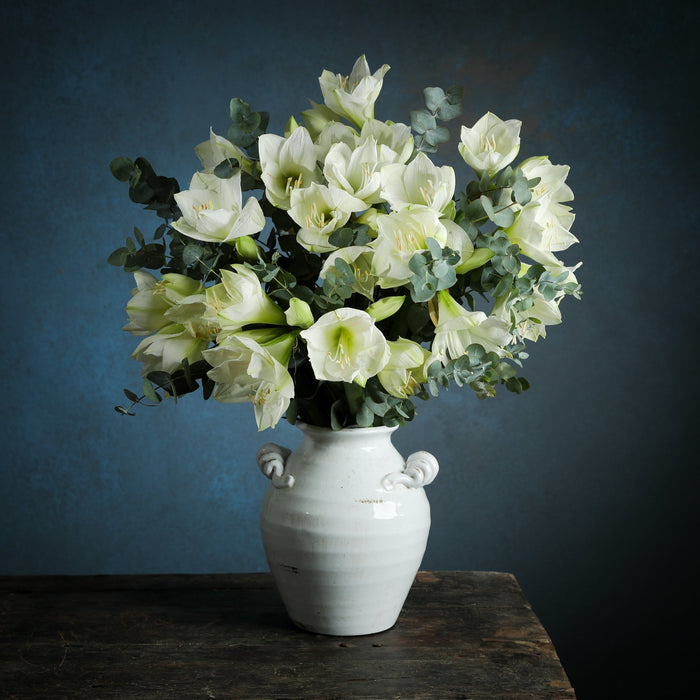 An example of gift subscription flowers, white amaryllis with eucalyptus. 