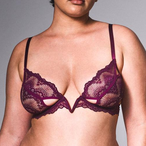 Cora Full Figure Bra