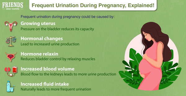 Frequent urination pregnancy: What it means and what to do about