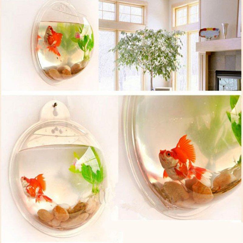 wall mounted fish bowl