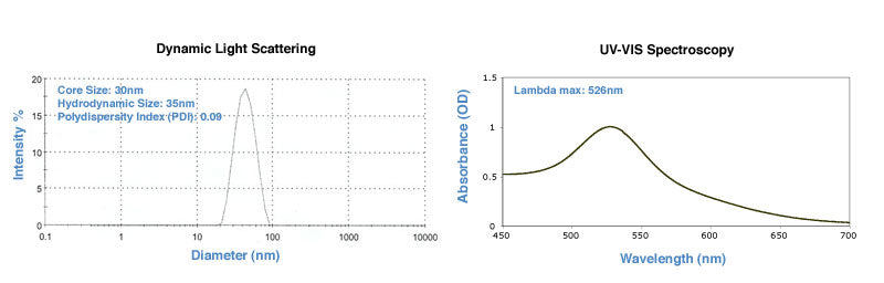 30nm DLS and UV-VIS spectrum