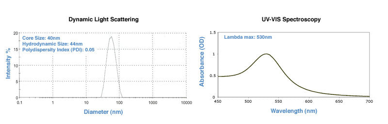 40nm DLS and UV-Vis spectrum