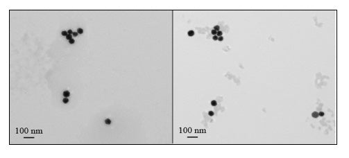 60nm Cytodiagnostics gold vs competitor comparison