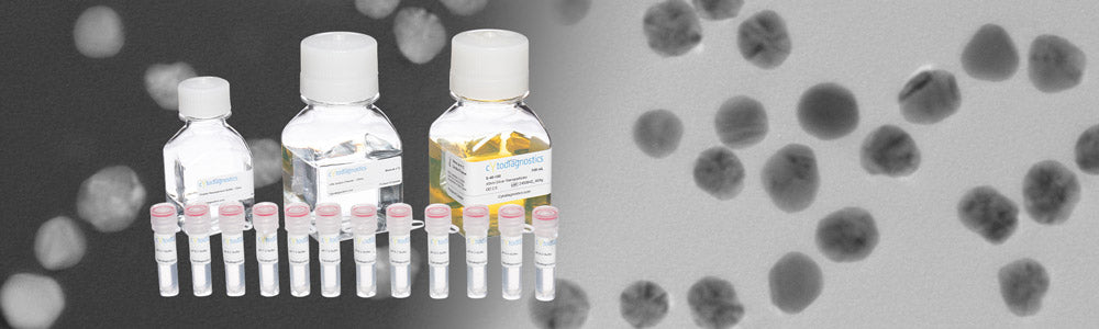 Banner Silver Nanoparticles
