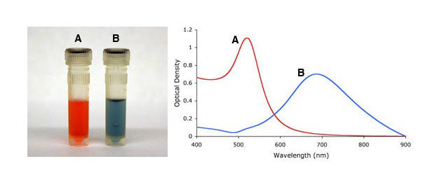 Gold Nanoparticle Absorbance - Impact of Shape