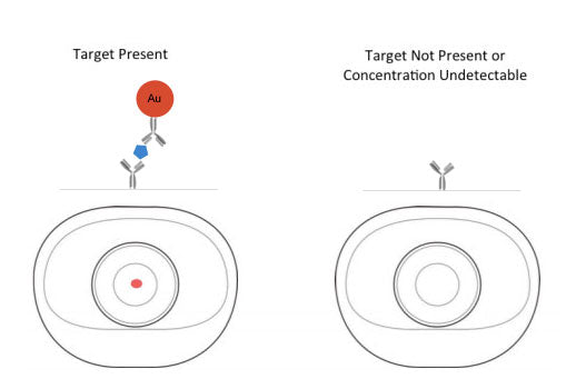 Vertical Flow Positive vs Negative Sample