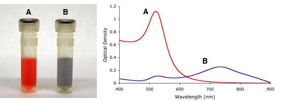 Salt-induced aggregation gold nanoparticles