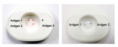 Multiplex detection in vertical flow assays