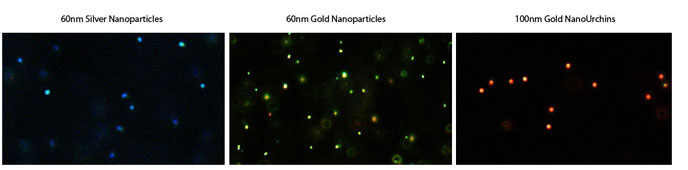 Darkfield microscopy of silver nanoparticles compared to gold