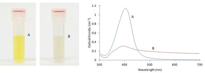 Silver Nanoparticles Aggregation - Effects on Absorption Spectrum