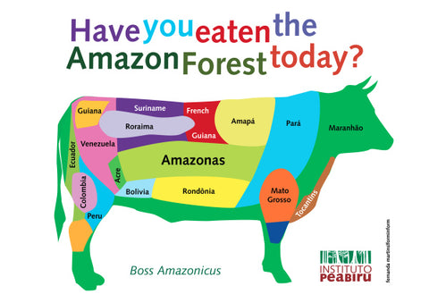 deforestation Global 