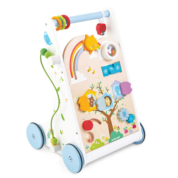 Petitlou Activity Walker