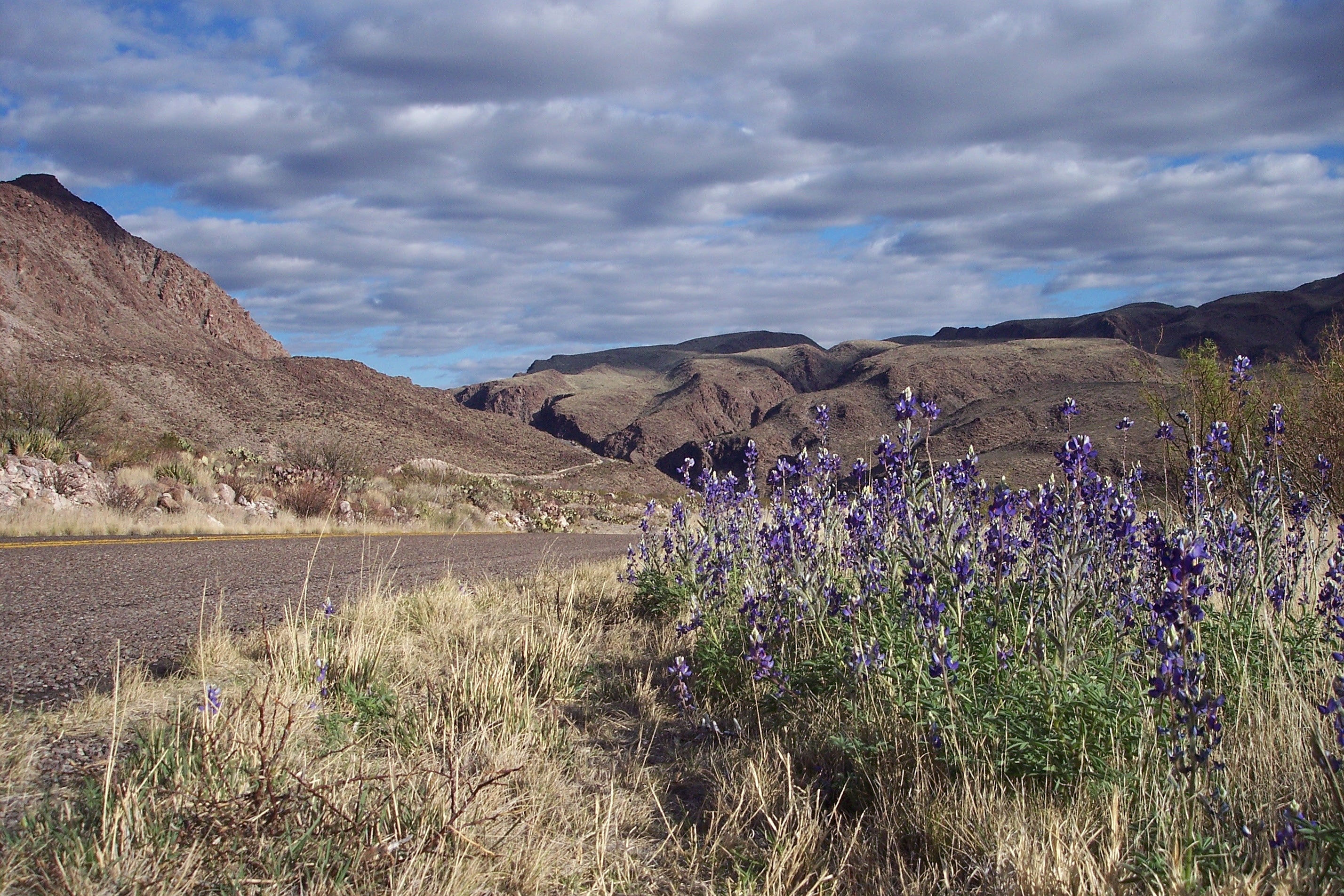 Big Bend National Park