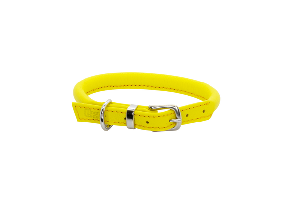 D&H Yellow Rolled Leather Dog Collar