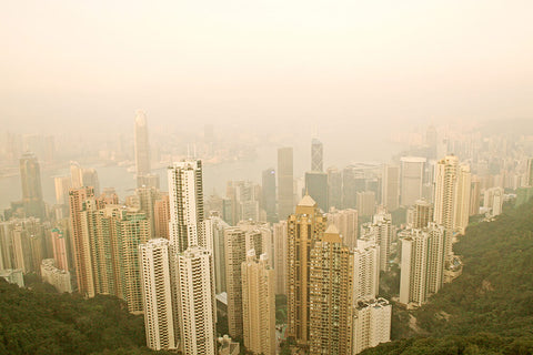 photo of hong kong from the peak for wearable art cashmere scarf by seahorse silks