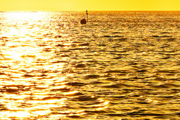 photo golden sunset on water at rottnest island for seahorse silks wearable art