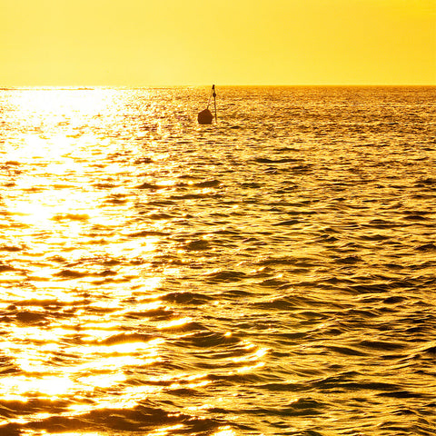 photo of gold sunset at rottnest island for midas touch print design by seahorse silks