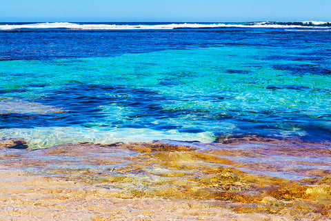 photo of margaret river for reef edge scarf designs at seahorse silks