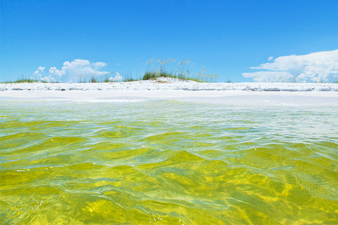 photo emerald coast florida for loose silk cotton top by seahorse silks