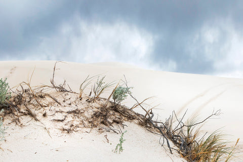 photo of sand dunes at lancelin for wearable art scarf by seahorse silks