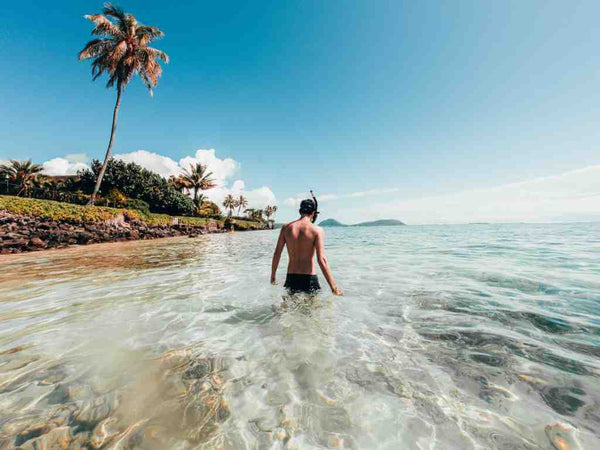 snorkling nicoya peninsular 5 blue zones blog seahorse silks