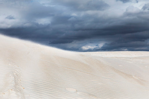 photo of sand dunes at lancelin in the winter for seahorse silks scarf design