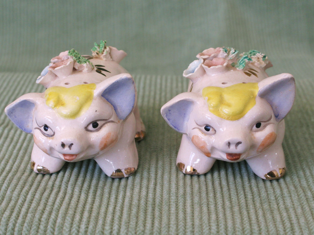 Smiling Pigs-Vintage Salt & Pepper Shakers – Carter and Holmes Orchids