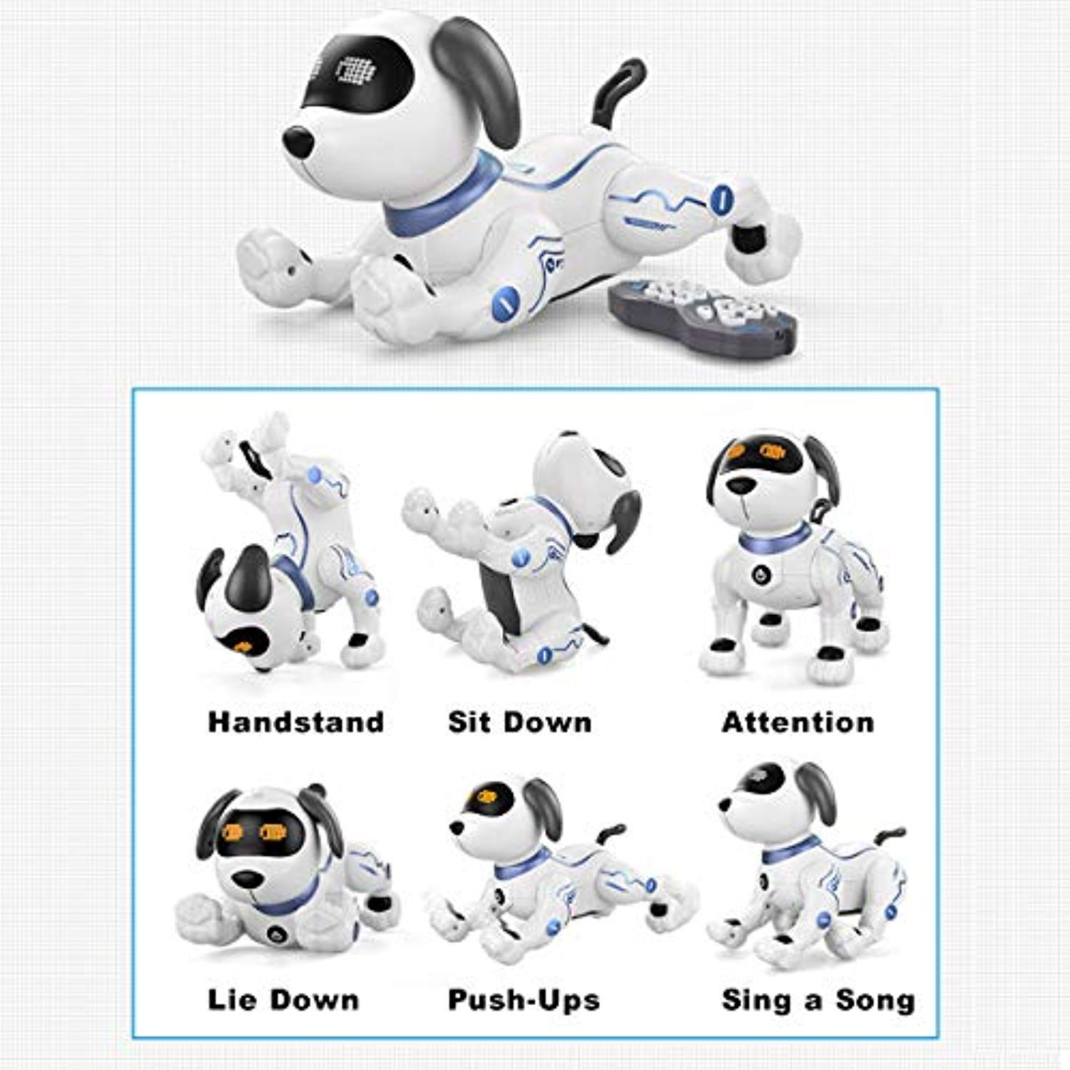 fisca robot dog