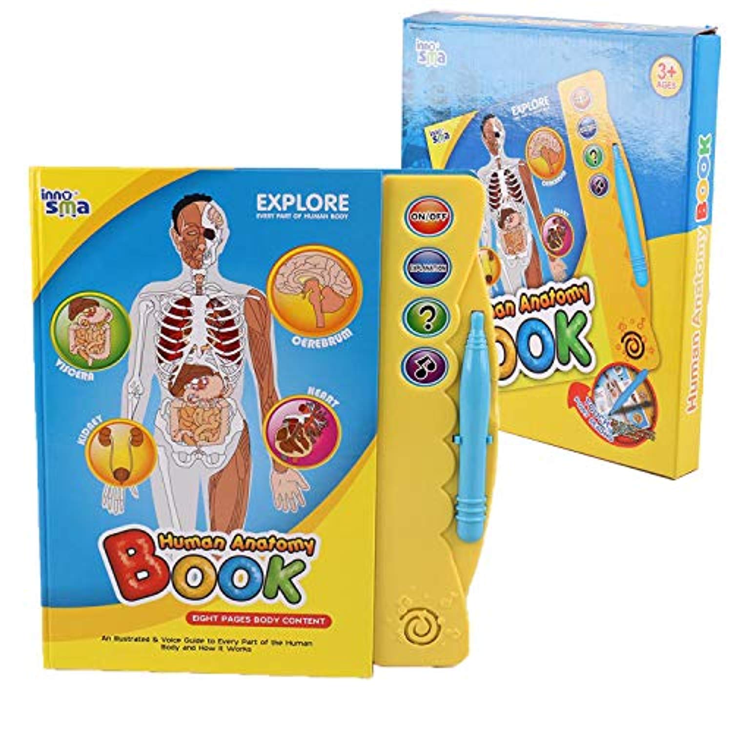 human body learning toys