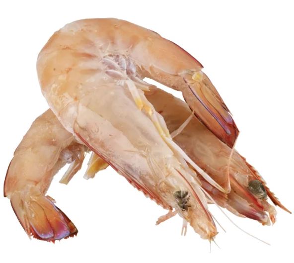 Seafood Prawns King U15 1kg Singapore Deli And Grocer