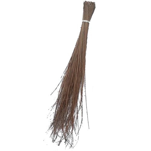 filipino broom capitol