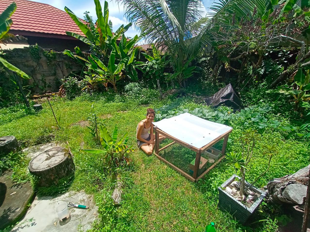 Der Garten im Dschungel Home Office in Indonesien