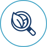 Magnifying Glass Icon