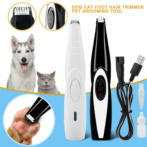 dog cat grooming