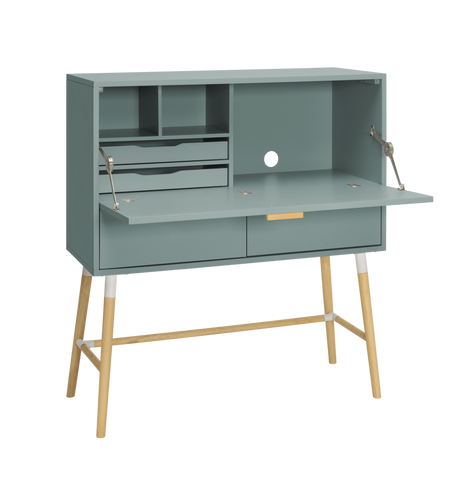 Arod Cabinet Desk - Sage Green