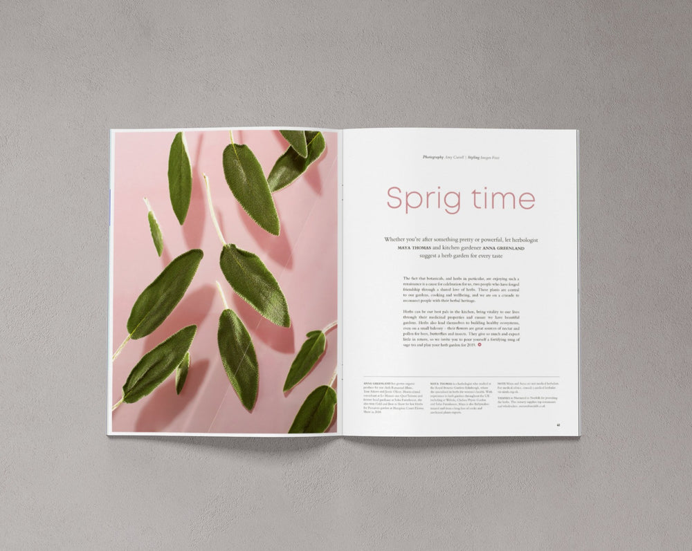 
            
                Load image into Gallery viewer, Issue 2 – Spring 2019
            
        
