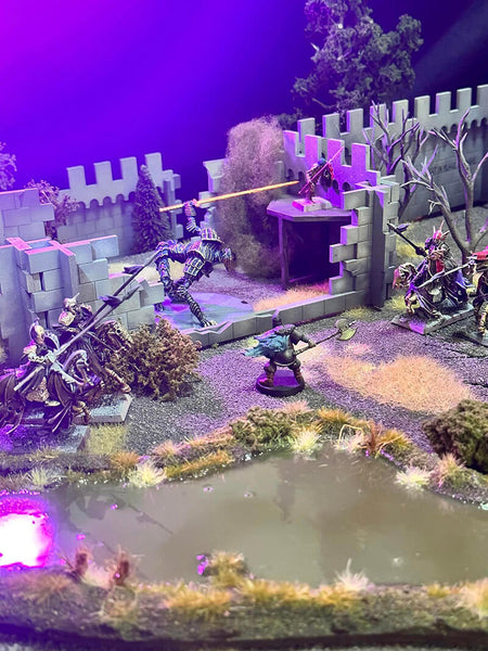 Warhammer vampire counts undead with ruined castle walls terrain and swamp terrain