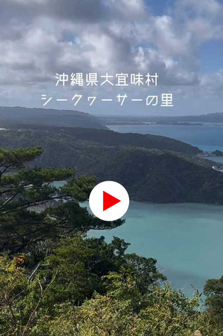 シークヮーサーの故郷　大宜味村