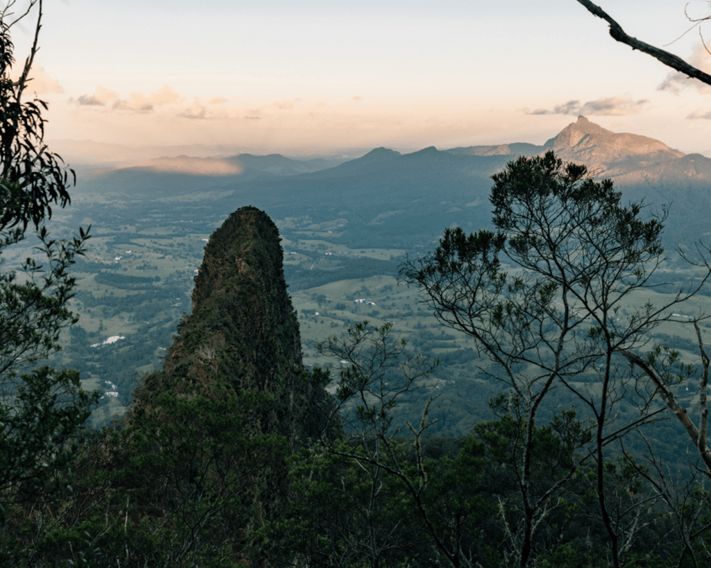 Byron Bay Hinterland Walks Things To Do Near Byron Bay