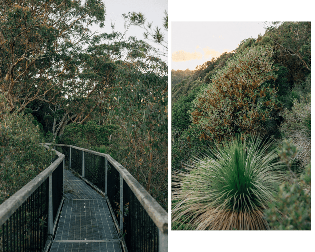 Stone & Wood Hinterland Hazy, Best Walks Near Byron Bay