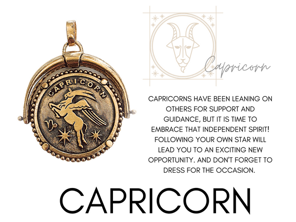 Capricorn zodiac sign with horoscope and DYLAN LEX zodiac pendant / charm pendant / charm