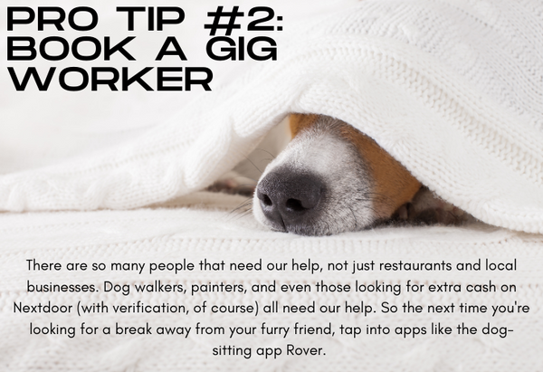 Pro Tip #2 Book a Gig Worker, photo of dog under blanket