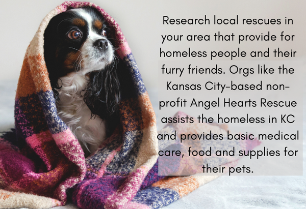 Angel Hearts pet rescue information
