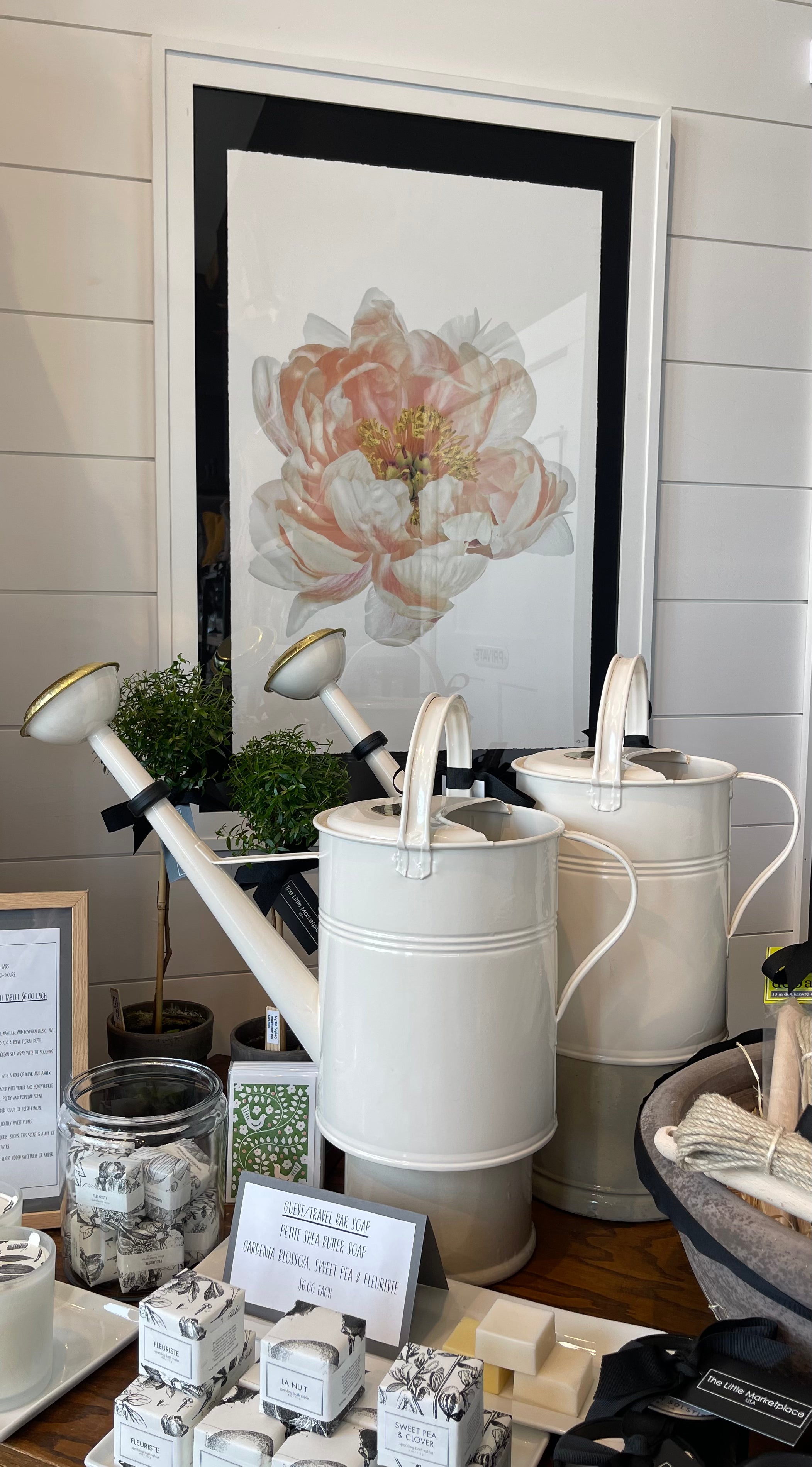 Large Photographic Print- Peony Image 20 x 30” (White Frame 39 1/2 x 27 1/2”)