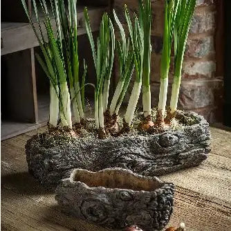 Cement Log Planter