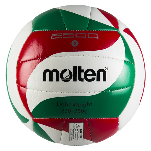 ballon volleyball VM2501-L