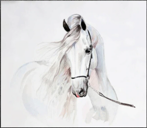 Peinture Cheval Cheval Island