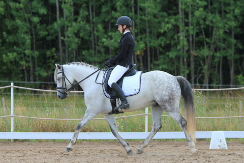 The importance of dressage training